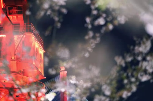 CRC喜歡和什么樣的CRA合作？(圖1)