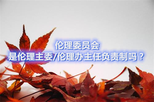 倫理委員會是倫理主委/倫理辦主任負責(zé)制嗎？(圖1)