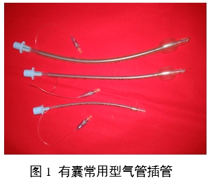 氣管插管產(chǎn)品注冊審查指導(dǎo)原則(2024修訂版)(2024年第21號)(圖1) 氣管插管產(chǎn)品注冊審查指導(dǎo)原則(2024修訂版)(2024年第21號)(圖1)